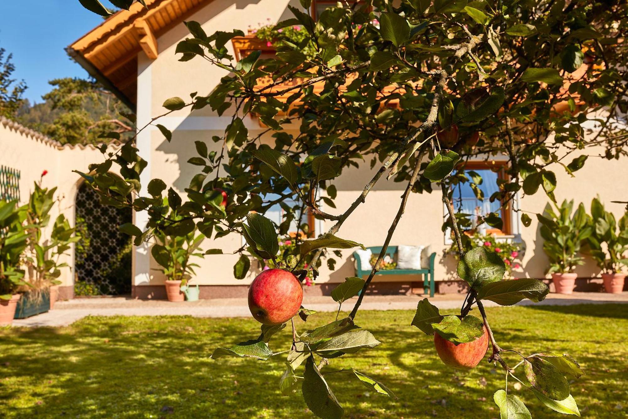Ferienhaus Zur Maultrommel Molln Zewnętrze zdjęcie